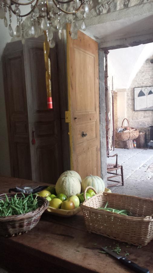 Chateau De Fontblachere Saint-Lager-Bressac Buitenkant foto